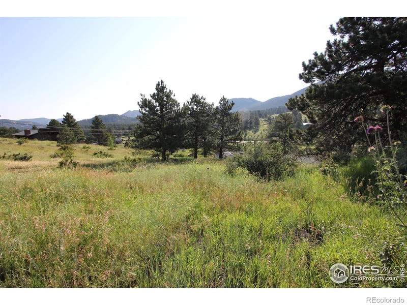 Clover Ln, Estes Park, CO 80517