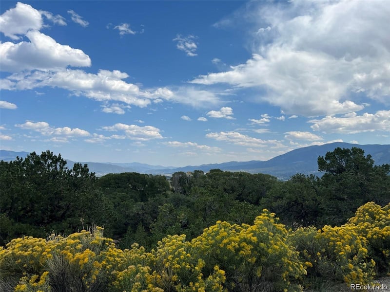 12240 Saddle Ridge Ln, Salida, CO 81201