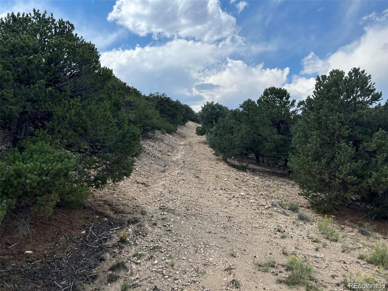 12240 Saddle Ridge Ln, Salida, CO 81201