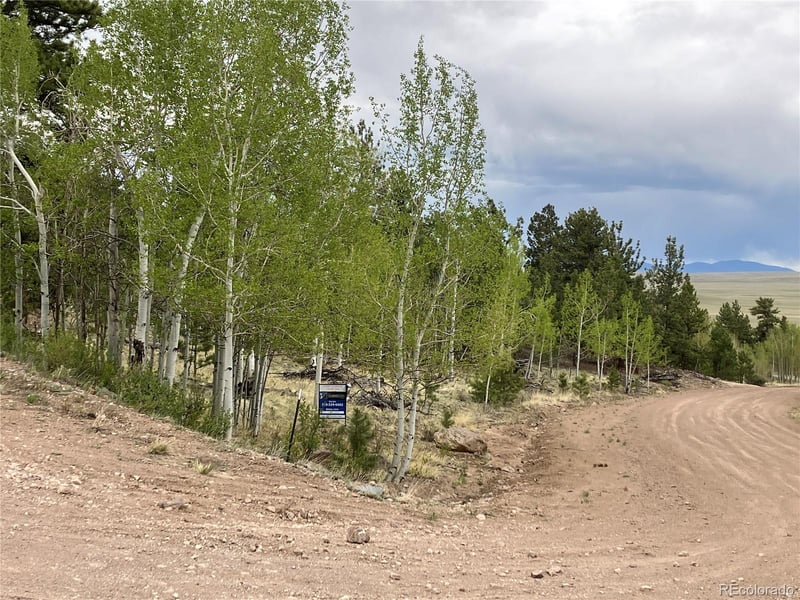 256 Bandana Rd Lot 0471, Hartsel, CO 80449