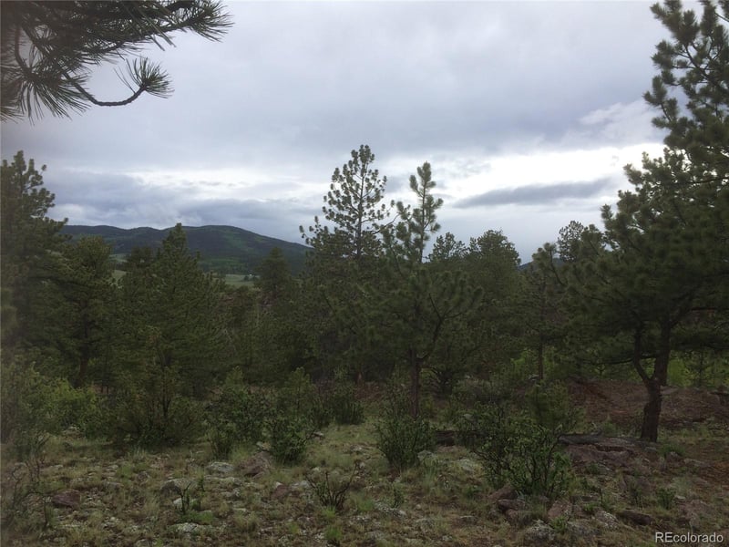 256 Bandana Rd Lot 0471, Hartsel, CO 80449