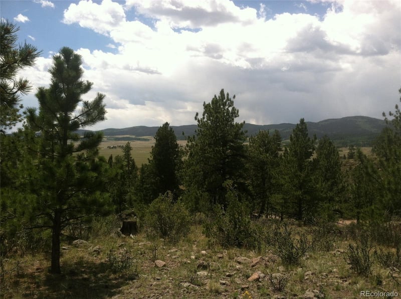 256 Bandana Rd Lot 0471, Hartsel, CO 80449