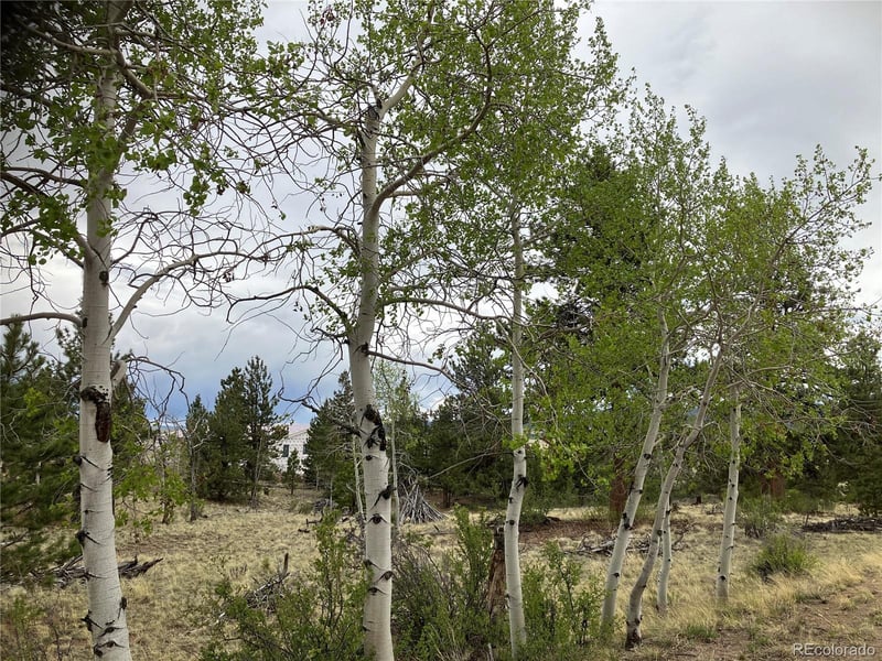 256 Bandana Rd Lot 0471, Hartsel, CO 80449
