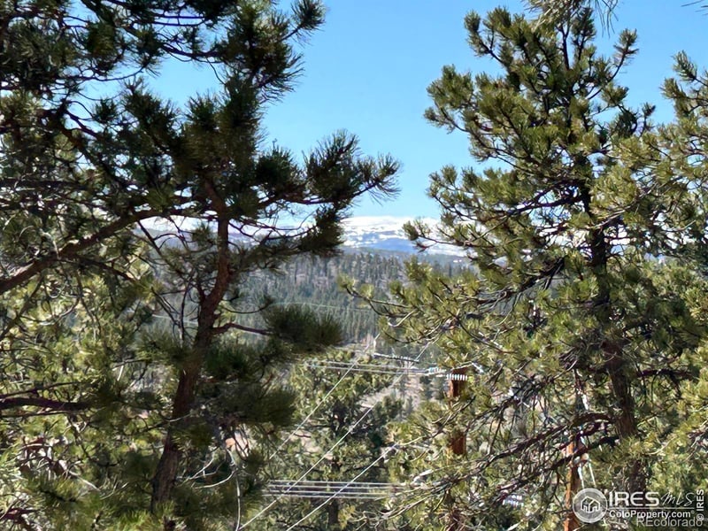 295 Piney Knolls Dr, Red Feather Lakes, CO 80545