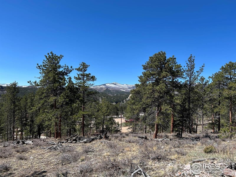 295 Piney Knolls Dr, Red Feather Lakes, CO 80545