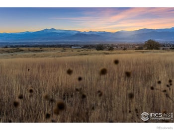 7913 County Road 84, Fort Collins, CO 80524