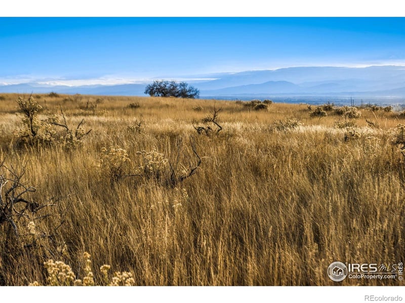 7913 County Road 84, Fort Collins, CO 80524