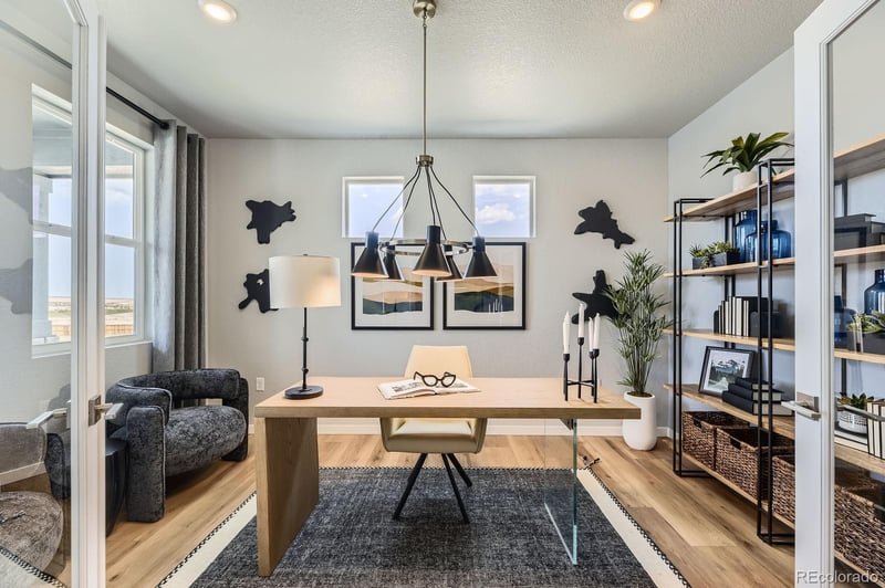 13733 Daffodil Point, Parker, CO 80134