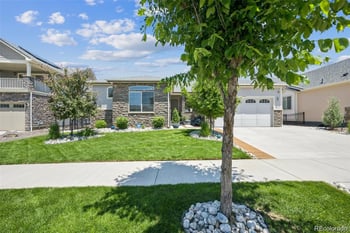 20553 50th Pl, Denver, CO 80249