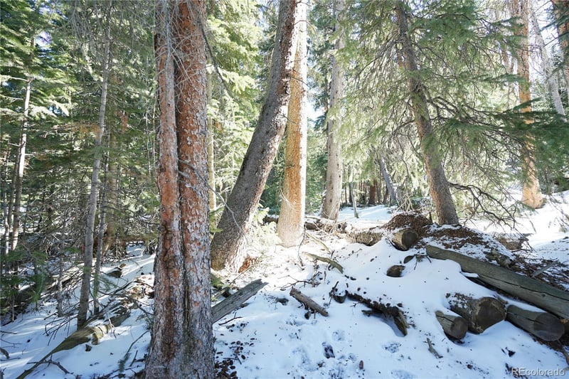 14 Rena Rd, Breckenridge, CO 80424