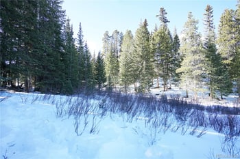 14 Rena Rd, Breckenridge, CO 80424