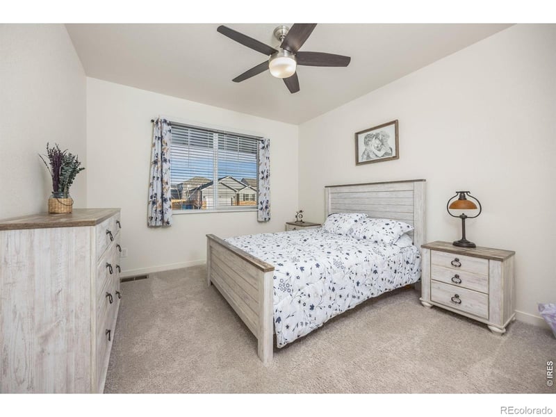 3725 Catmint St, Wellington, CO 80549