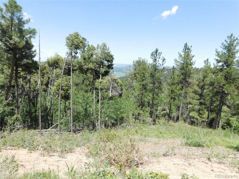 13670 Spruce Creek Cir, Larkspur, CO 80118