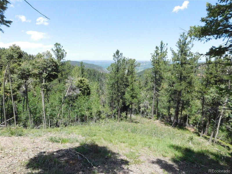 13670 Spruce Creek Cir, Larkspur, CO 80118