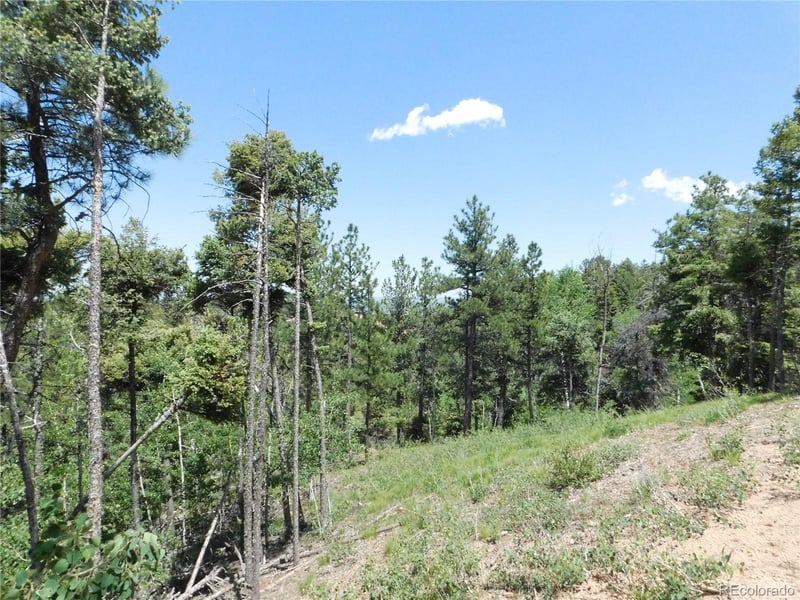 13670 Spruce Creek Cir, Larkspur, CO 80118