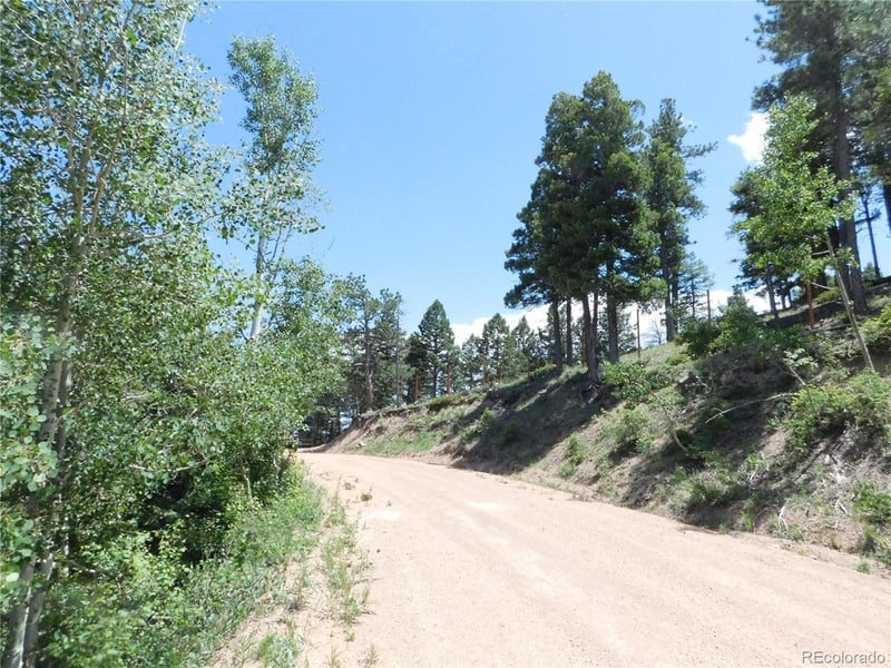 13670 Spruce Creek Cir, Larkspur, CO 80118