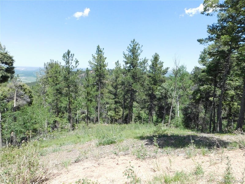 13670 Spruce Creek Cir, Larkspur, CO 80118