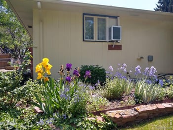 1327 Audubon Pl, Loveland, CO 80538