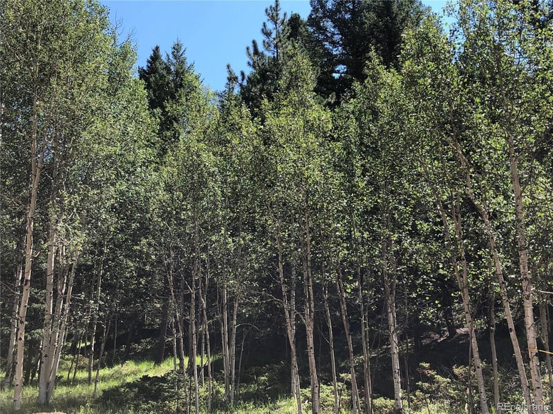 3015 Mountain Estates Rd, Florissant, CO 80816