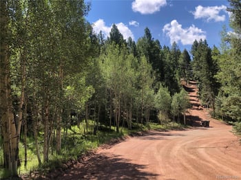3015 Mountain Estates Rd, Florissant, CO 80816