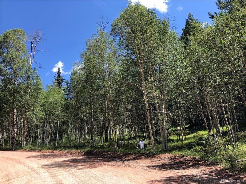 3015 Mountain Estates Rd, Florissant, CO 80816