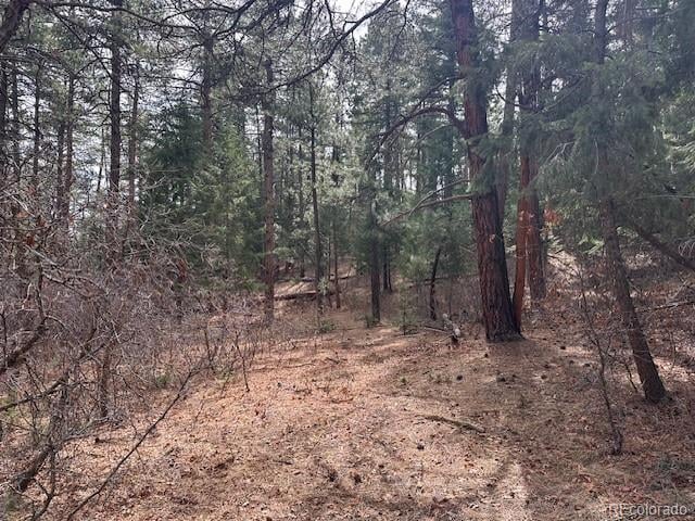 8169 Bannock Dr, Larkspur, CO 80118