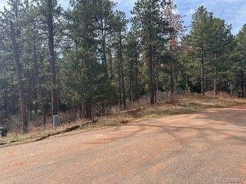 8169 Bannock Dr, Larkspur, CO 80118