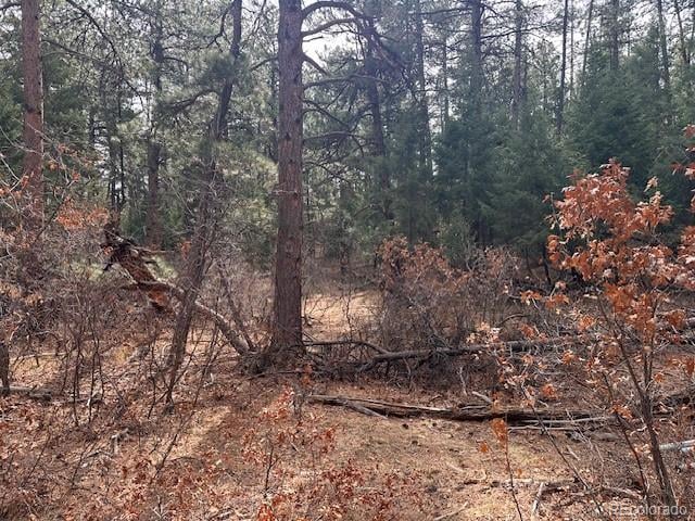 8169 Bannock Dr, Larkspur, CO 80118