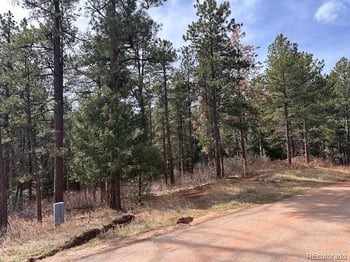 8169 Bannock Dr, Larkspur, CO 80118