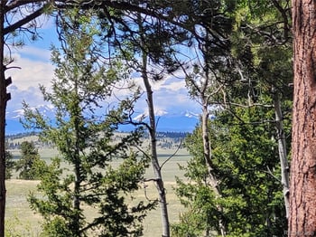 1080 Brahma Cir, Hartsel, CO 80449