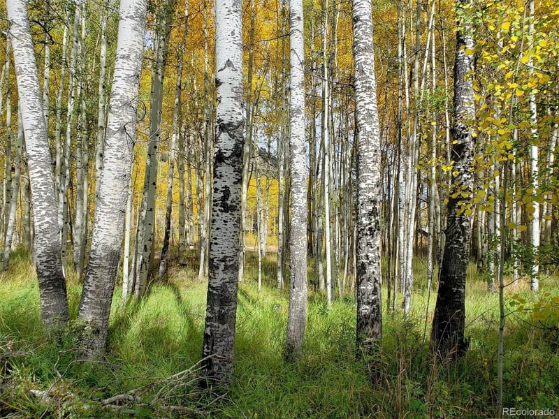 1080 Brahma Cir, Hartsel, CO 80449