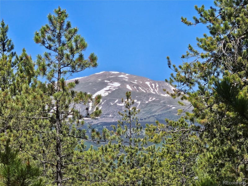 426 Sequoia Dr, Twin Lakes, CO 81251