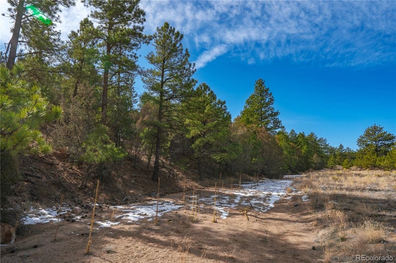 Lot 10 Prairie Dog Rd, Cotopaxi, CO 81223