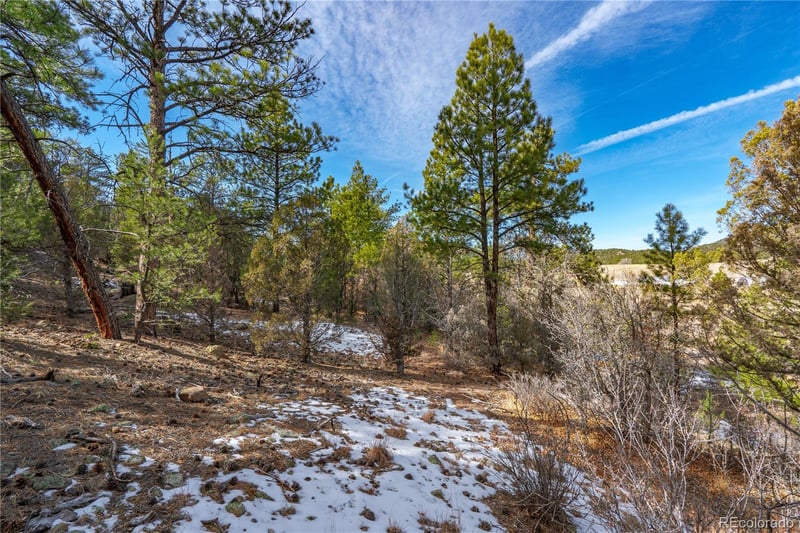 Lot 10 Prairie Dog Rd, Cotopaxi, CO 81223