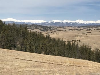 1289 Willow Way, Jefferson, CO 80456