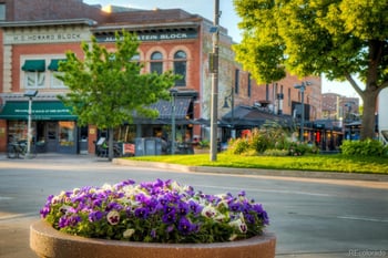 155 Mathews St, Fort Collins, CO 80524