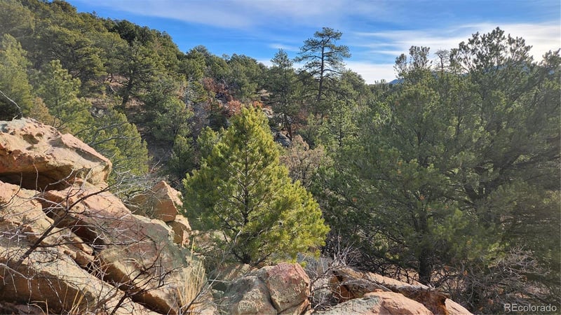 TBD L 7th Trl, Cotopaxi, CO 81223