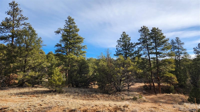 TBD L 7th Trl, Cotopaxi, CO 81223