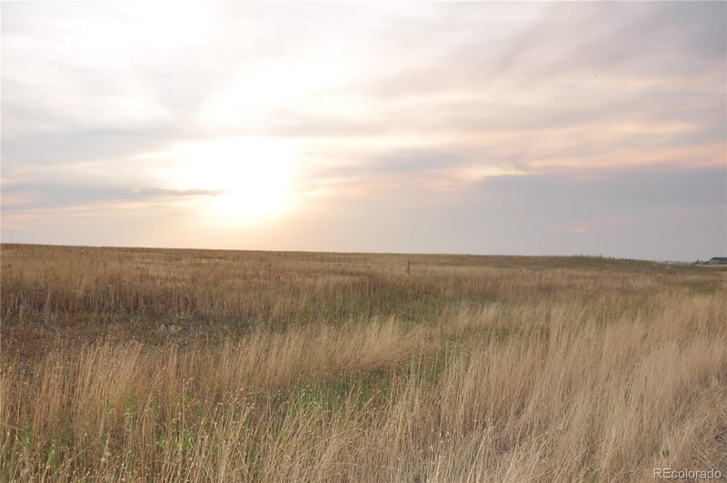 57950 Harvard Pl, Strasburg, CO 80136