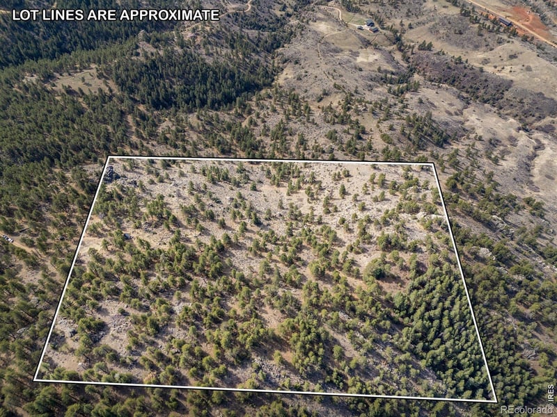 9316 Tawny Lynx Rd, Loveland, CO 80538