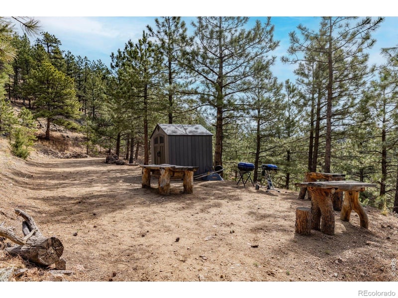 9316 Tawny Lynx Rd, Loveland, CO 80538