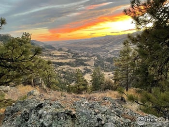 9316 Tawny Lynx Rd, Loveland, CO 80538