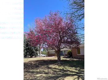 5860 Wood Sorrel Dr, Littleton, CO 80123