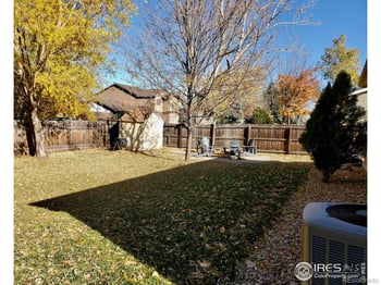 60 Lodgepole Dr, Windsor, CO 80550