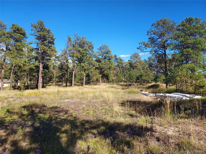 13395 Frank Rd, Colorado Springs, CO 80908