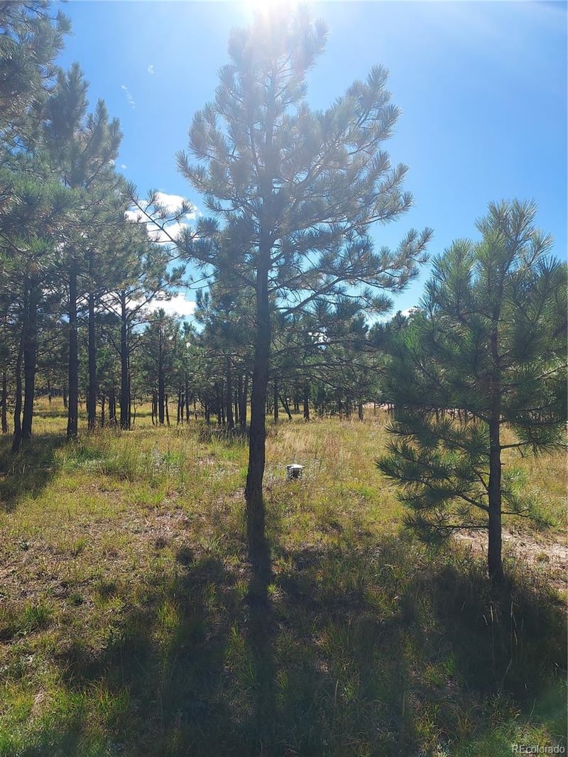 13395 Frank Rd, Colorado Springs, CO 80908