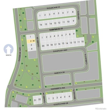 4674 Sugarcane St, Johnstown, CO 80534