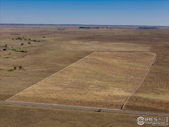 1 Cr 82 , Wellington, CO 80549