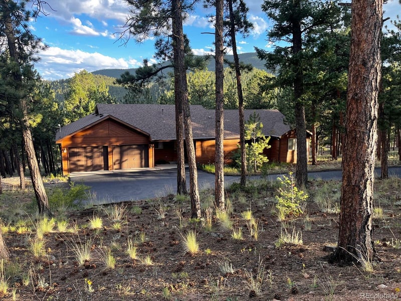 84 Marys Ln, Bailey, CO 80421