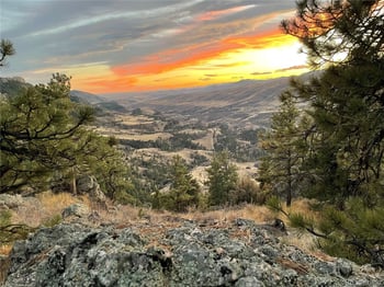 9316 Tawny Lynx Rd, Loveland, CO 80538